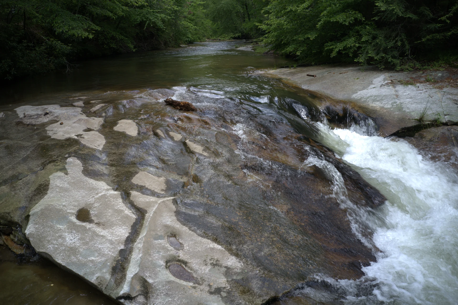 Water cascading over rocks in a wooded stream at Stone Mountain State Park, North Carolina